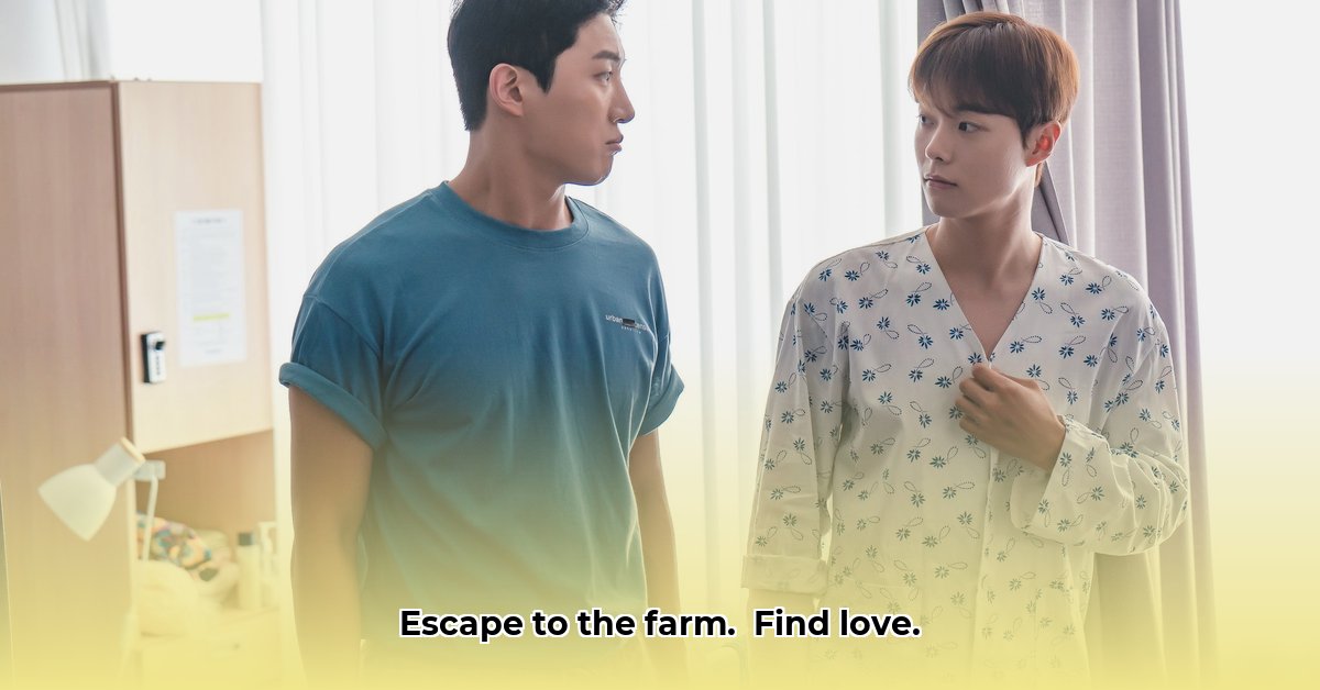 love-tractor-drama